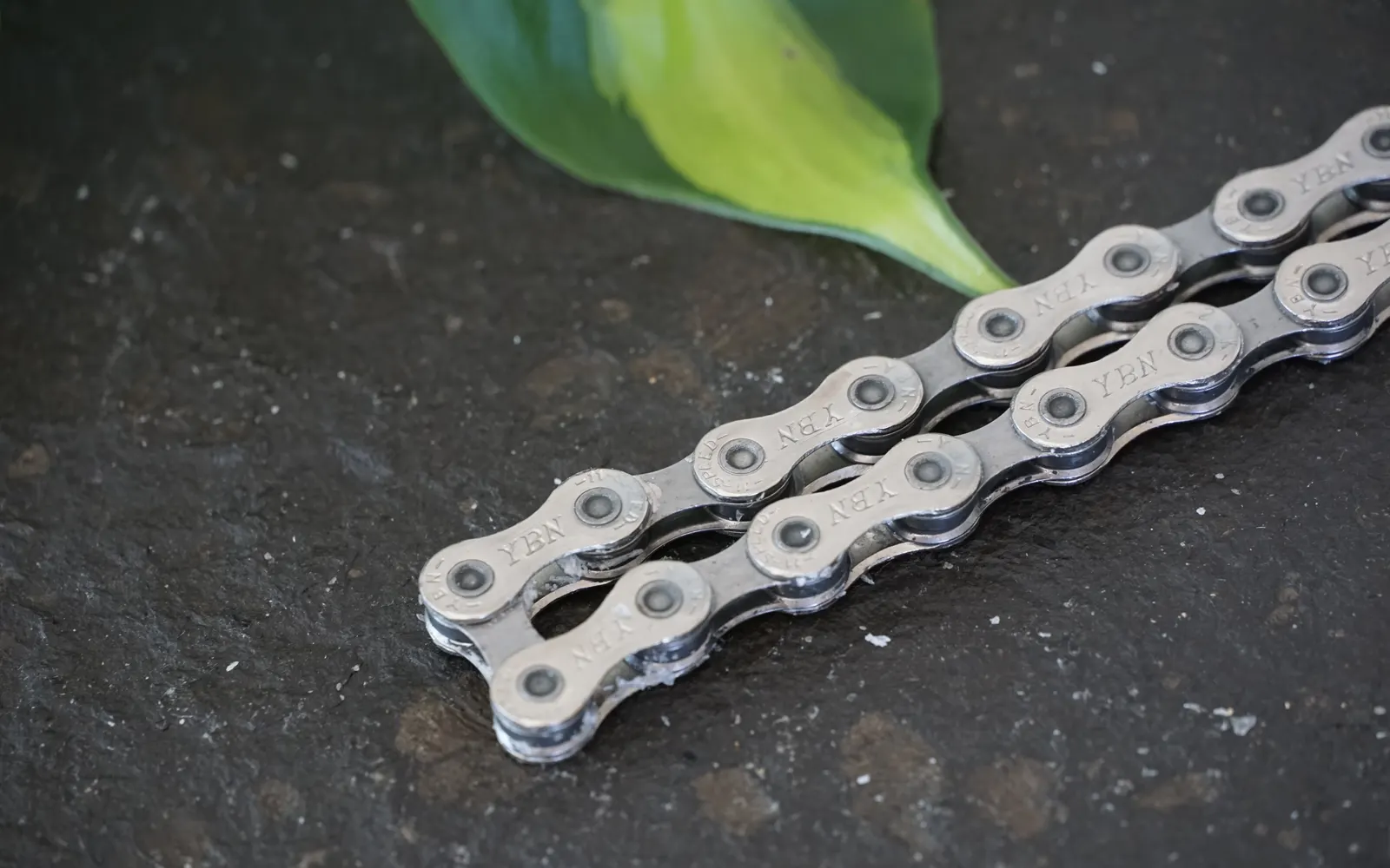 Nahaufnahme einer frisch gewachsten Fahrradkette